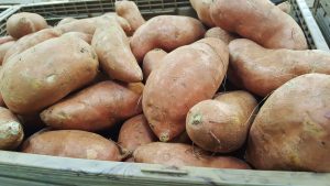 sweet-potatoes-1310287_1920