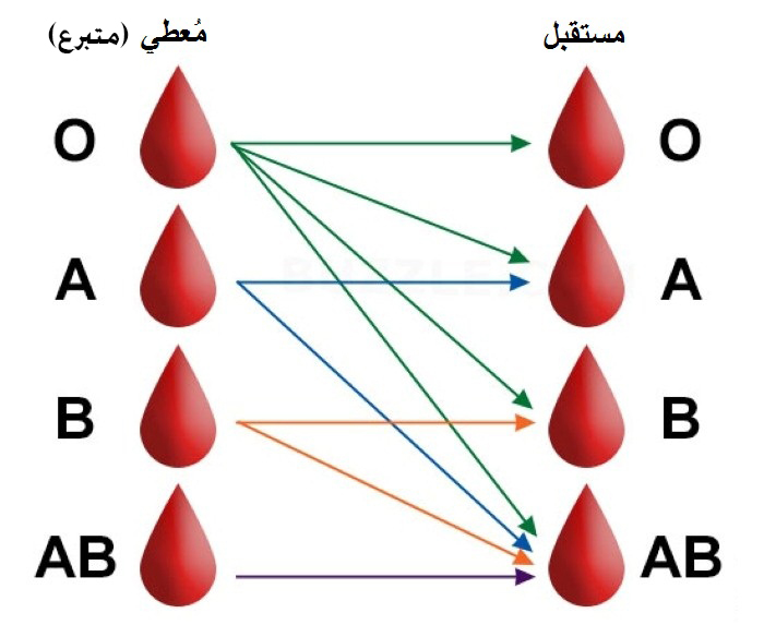 معلومات هامة عن فصائل الدم يجب الإلمام بها وقايتي